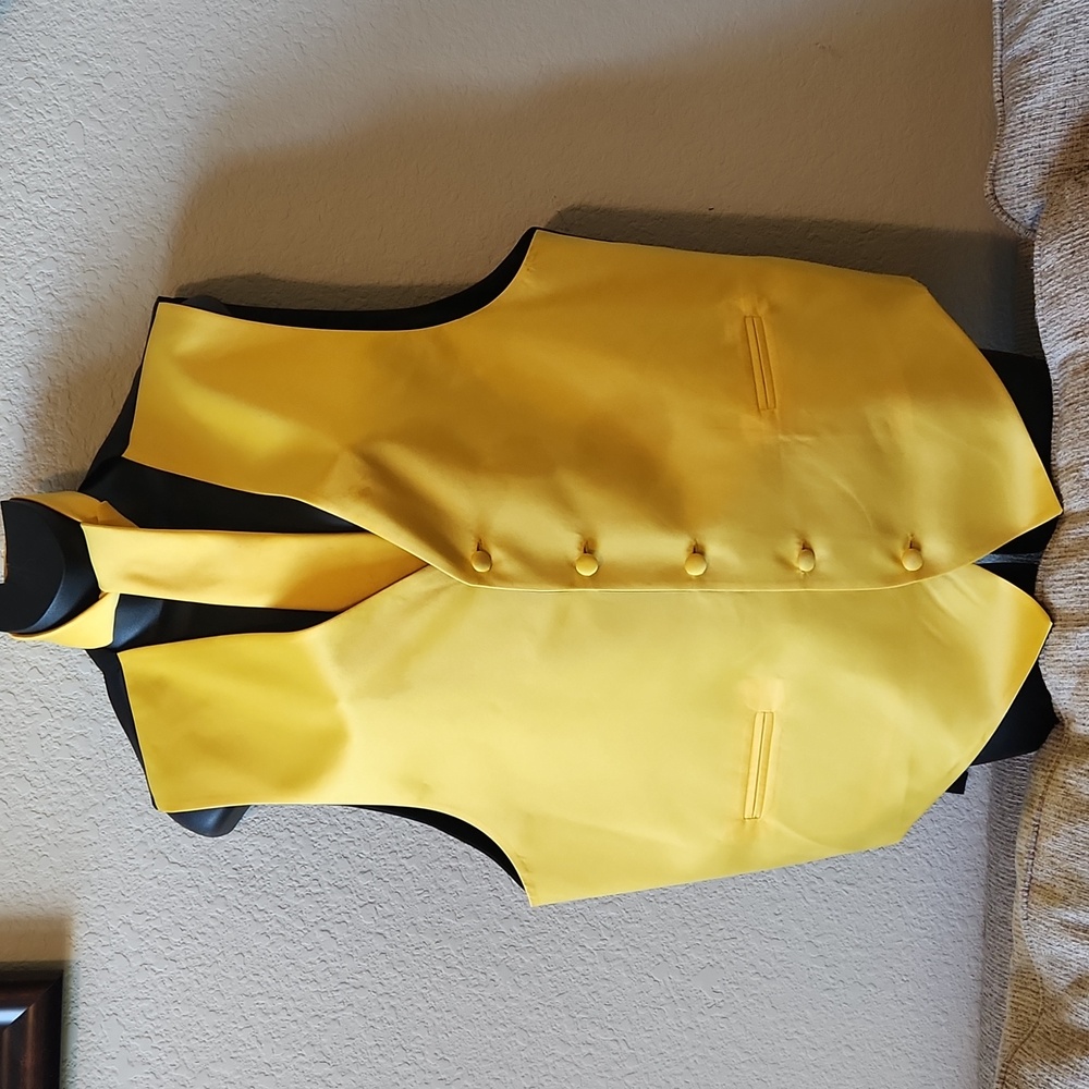 Waist Coat with matching Neck Tie